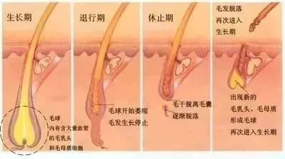 <a href='/suz/' target='_blank'><u>蘇州美萊</u></a>：反季脫毛優(yōu)惠，你值得擁有！