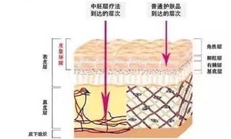 才是SK2+HR+Lamer組成的王炸！