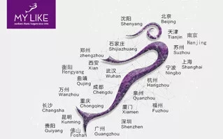 美萊21周年|杭州美萊五大活動，實力寵你！
