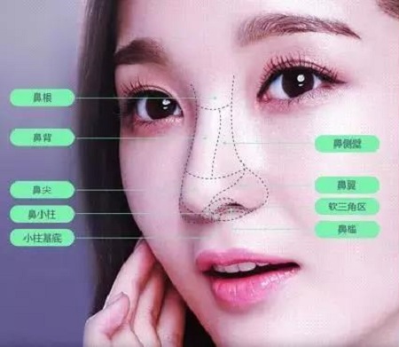 肋軟骨、耳軟骨...隆鼻材料有什么區(qū)別？怎么選擇？
