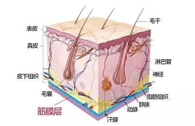 沒有誰能永遠(yuǎn)年輕，不老都是保養(yǎng)的早！