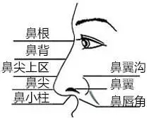 隆鼻手術(shù)切口在哪里？才能自然不留疤