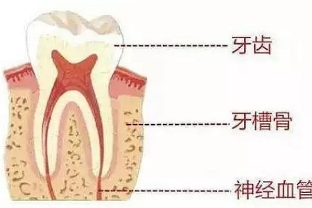做牙齒矯正 ，真的要趁早！