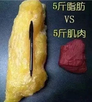 面對減肥這件事，一定要保持頭腦清醒！
