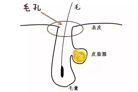 如何在炎熱的夏天，做清爽白凈的小姐姐？