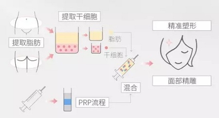 美萊實(shí)驗(yàn)室：瘦臉、ReFa都解決不了你的臉大問題交給我就對了