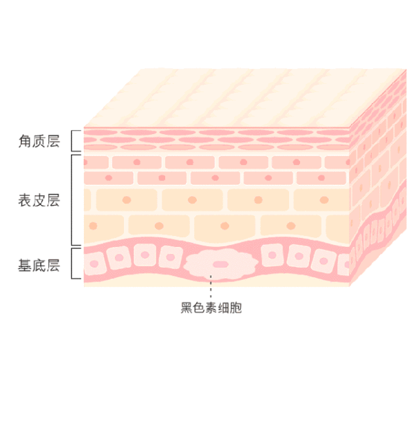 美萊實(shí)驗(yàn)室：據(jù)統(tǒng)計(jì)90%的長(zhǎng)斑都與夏天這一東西有關(guān)，你臉上的斑點(diǎn)是嗎？