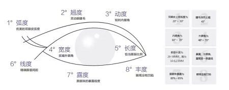 美眼張誠坐診美萊，淺談為什么你的眼睛不夠美？