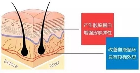 關(guān)于*雕，你想了解的都在這里！
