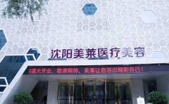 沈陽自體脂肪豐太陽穴哪個正規(guī)醫(yī)院做的自然？推薦實力醫(yī)院美萊！